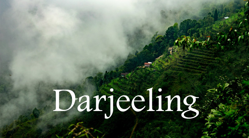Darjeeling - Best places to enjoy nature in India